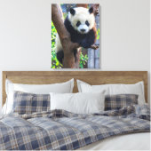 Kutest Baby Animals | Giant Panda Cub Canvas Afdruk (Insitu (Slaapkamer))
