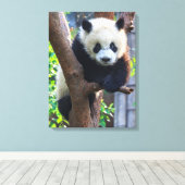Kutest Baby Animals | Giant Panda Cub Canvas Afdruk (Insitu (Houten vloer))