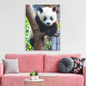 Kutest Baby Animals | Giant Panda Cub Canvas Afdruk (Insitu (Woonkamer))