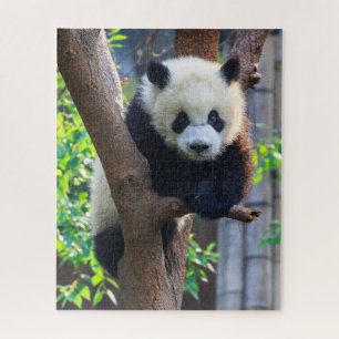 Kutest Baby Animals   Giant Panda Cub Legpuzzel