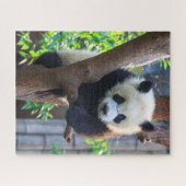 Kutest Baby Animals | Giant Panda Cub Legpuzzel (Horizontaal)