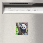 Kutest Baby Animals | Giant Panda Cub Magneet (Insitu (Vaatwasser))