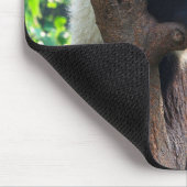 Kutest Baby Animals | Giant Panda Cub Muismat (Hoek)