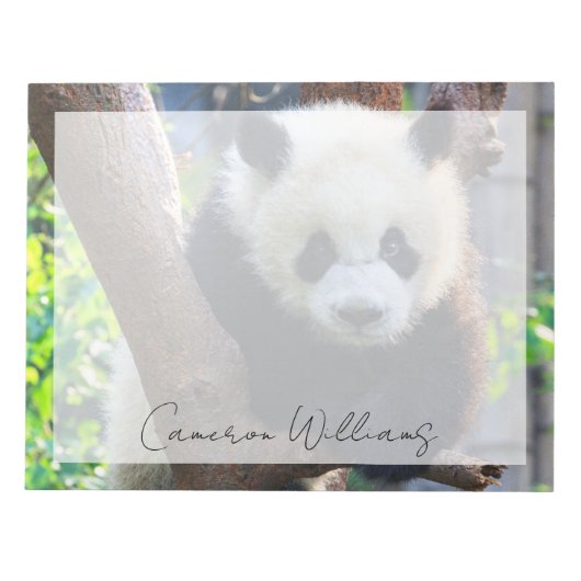 Kutest Baby Animals | Giant Panda Cub Notitieblok (Voorkant)