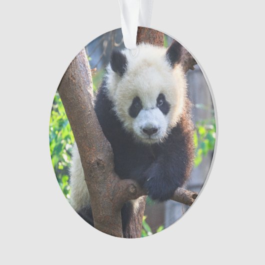 Kutest Baby Animals | Giant Panda Cub Ornament (voorkant)