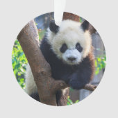 Kutest Baby Animals | Giant Panda Cub Ornament (voorkant)