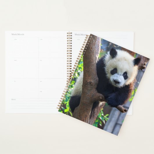 Kutest Baby Animals | Giant Panda Cub Planner (Display)
