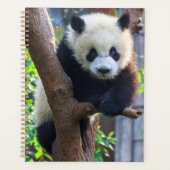 Kutest Baby Animals | Giant Panda Cub Planner (Voorkant)