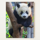 Kutest Baby Animals | Giant Panda Cub Planner (Achterkant)
