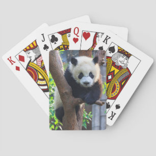 Kutest Baby Animals   Giant Panda Cub Pokerkaarten
