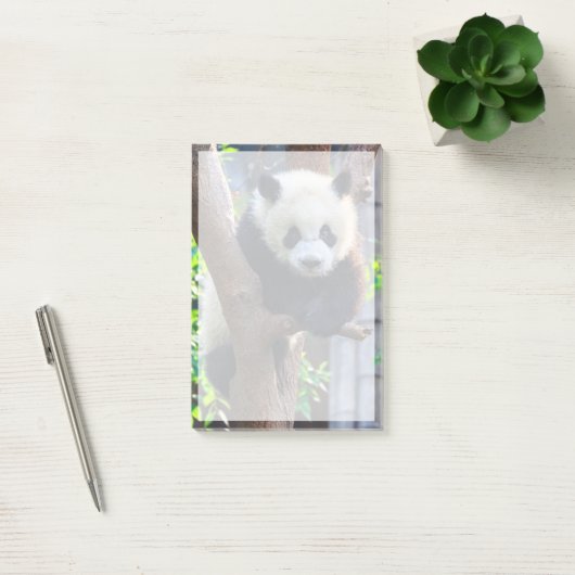 Kutest Baby Animals | Giant Panda Cub Post-it® Notes (Kantoor)