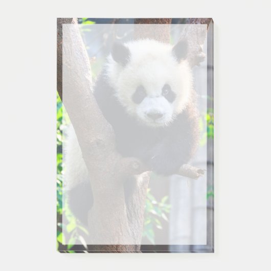 Kutest Baby Animals | Giant Panda Cub Post-it® Notes (Voorkant)