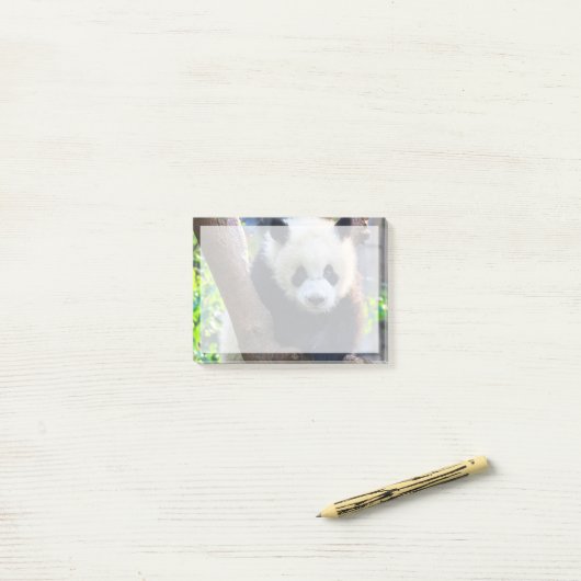 Kutest Baby Animals | Giant Panda Cub Post-it® Notes (Op bureau)