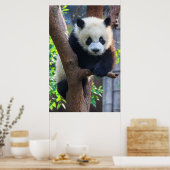 Kutest Baby Animals | Giant Panda Cub Poster (Keuken)