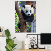 Kutest Baby Animals | Giant Panda Cub Poster (Thuiskantoor)