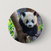 Kutest Baby Animals | Giant Panda Cub Ronde Button 5,7 Cm (Voorkant)