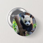 Kutest Baby Animals | Giant Panda Cub Ronde Button 5,7 Cm (Voorkant /achterkant)