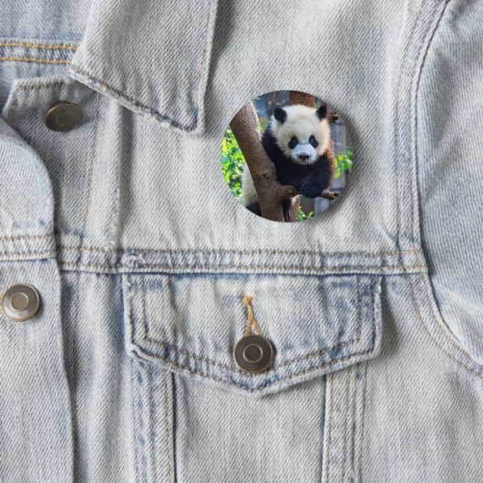 Kutest Baby Animals | Giant Panda Cub Ronde Button 5,7 Cm (In situ)