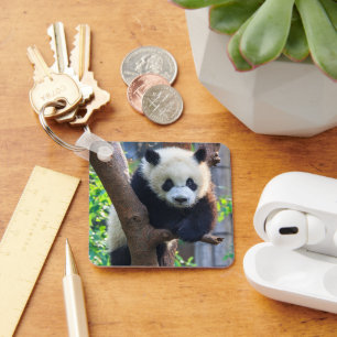 Kutest Baby Animals   Giant Panda Cub Sleutelhanger