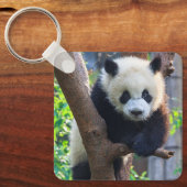 Kutest Baby Animals | Giant Panda Cub Sleutelhanger (Voorkant)