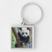 Kutest Baby Animals | Giant Panda Cub Sleutelhanger (Voorkant)