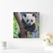 Kutest Baby Animals | Giant Panda Cub Vierkante Klok (Huis)