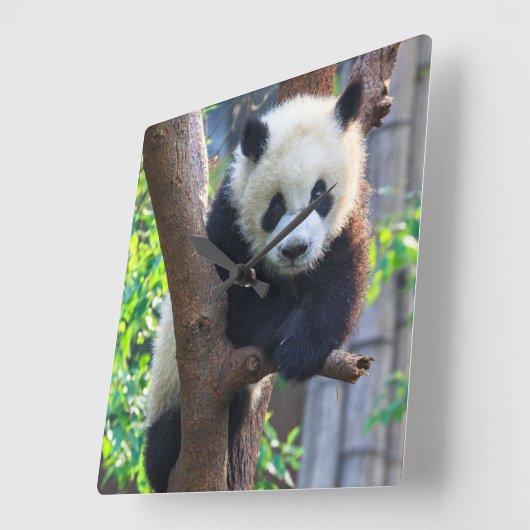 Kutest Baby Animals | Giant Panda Cub Vierkante Klok (Hoek)