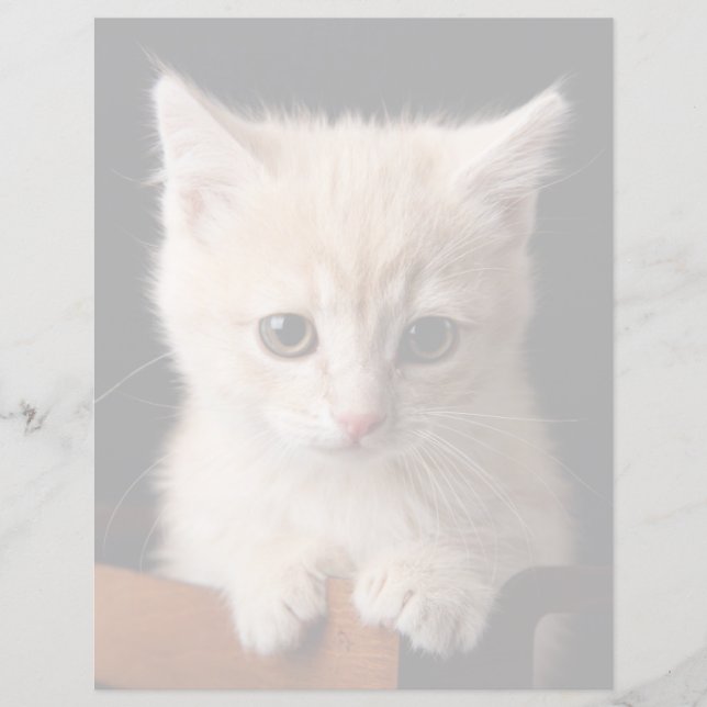 Kutest Baby Animals | Ginger Kitten (Voorkant)