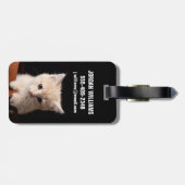 Kutest Baby Animals | Ginger Kitten Bagagelabel (Achterkant horizontaal)