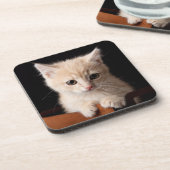 Kutest Baby Animals | Ginger Kitten Bier Onderzetter (Linkerzijde)