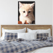 Kutest Baby Animals | Ginger Kitten Canvas Afdruk (Insitu (Slaapkamer))