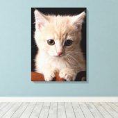 Kutest Baby Animals | Ginger Kitten Canvas Afdruk (Insitu (Houten vloer))