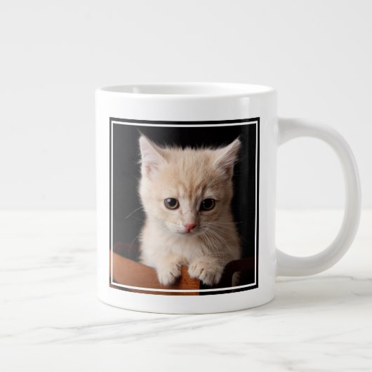 Kutest Baby Animals | Ginger Kitten Grote Koffiekop (Rechts)