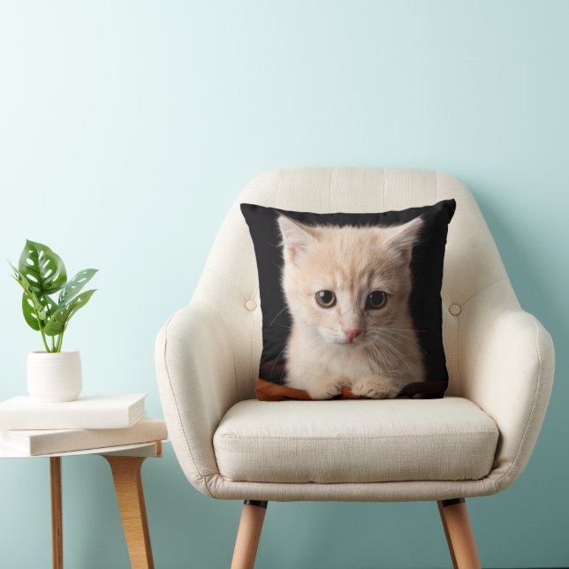 Kutest Baby Animals | Ginger Kitten Kussen (Stoel)