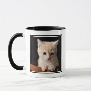 Kutest Baby Animals   Ginger Kitten Mok