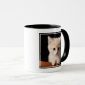 Kutest Baby Animals | Ginger Kitten Mok (Voorkant rechts)