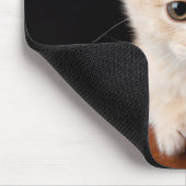 Kutest Baby Animals | Ginger Kitten Muismat (Hoek)