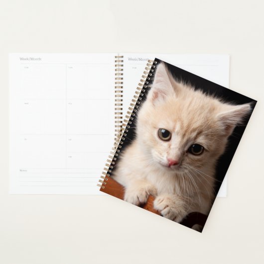 Kutest Baby Animals | Ginger Kitten Planner (Display)