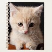 Kutest Baby Animals | Ginger Kitten Planner (Voorkant)