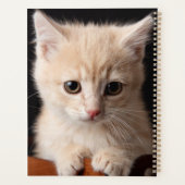 Kutest Baby Animals | Ginger Kitten Planner (Achterkant)