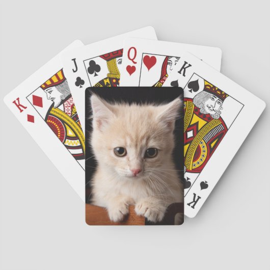 Kutest Baby Animals | Ginger Kitten Pokerkaarten (Achterkant)