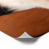 Kutest Baby Animals | Ginger Kitten Poster (Hoek)