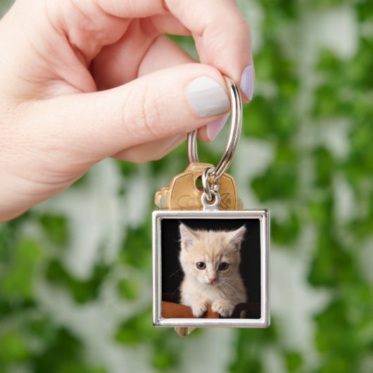 Kutest Baby Animals | Ginger Kitten Sleutelhanger (Hand)