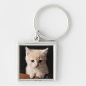 Kutest Baby Animals | Ginger Kitten Sleutelhanger (Voorkant)