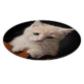 Kutest Baby Animals | Ginger Kitten Snijplank (Hoek)