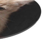 Kutest Baby Animals | Ginger Kitten Snijplank (Hoek)