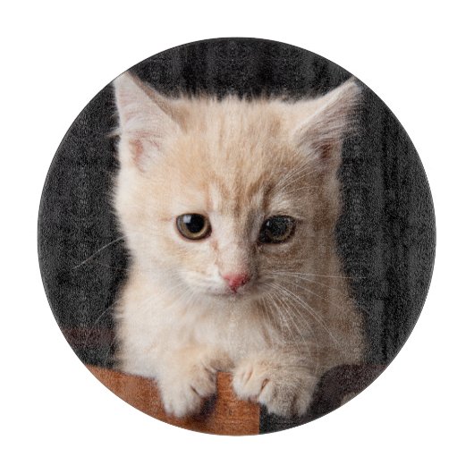 Kutest Baby Animals | Ginger Kitten Snijplank (Voorkant)