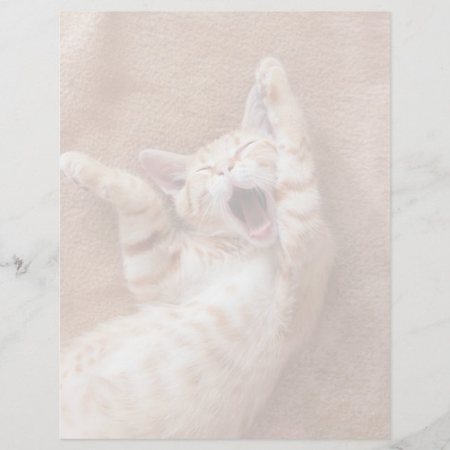 Kutest Baby Animals | Ginger Kitten Yawning (Voorkant)