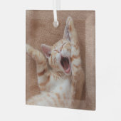 Kutest Baby Animals | Ginger Kitten Yawning Glas Ornament (Voorkant links)