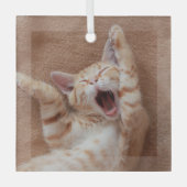 Kutest Baby Animals | Ginger Kitten Yawning Glas Ornament (Voorkant)